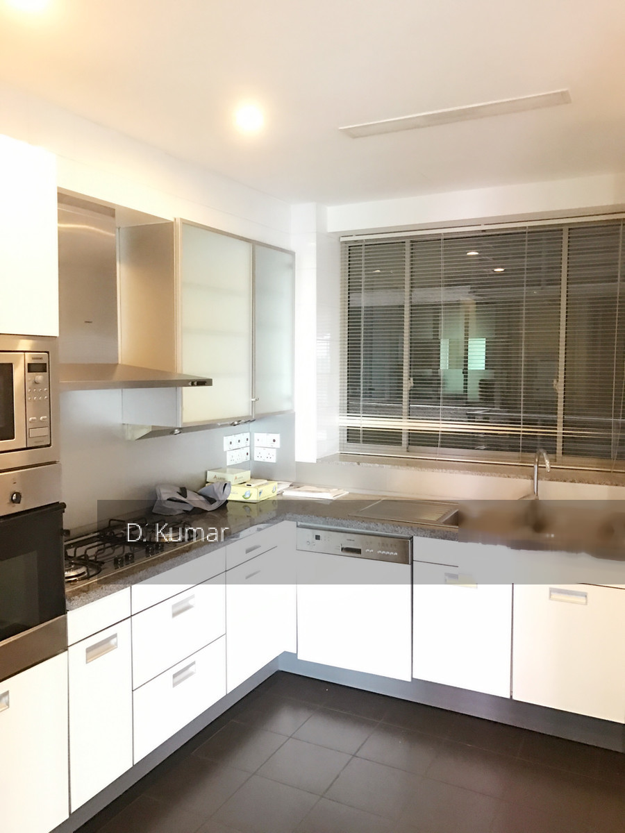 The Light @ Cairnhill (D9), Condominium #148568262